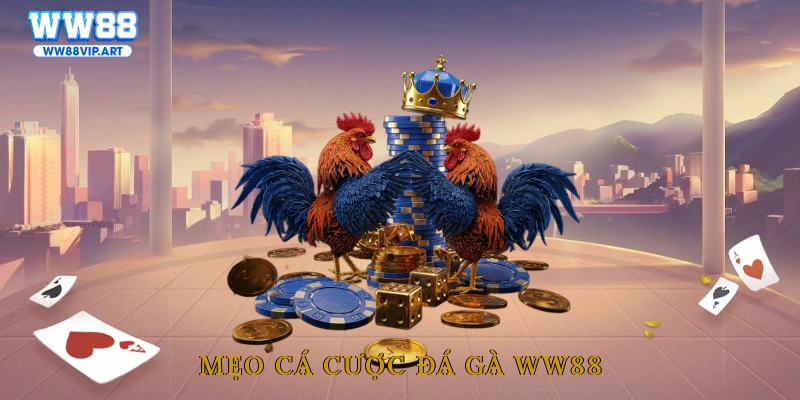 Mẹo cá cược đá gà WW88